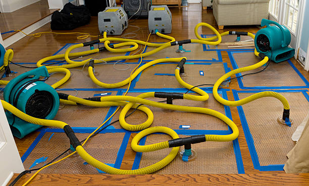 Professional Basement Flood Cleanup technician working in Allenton, WI